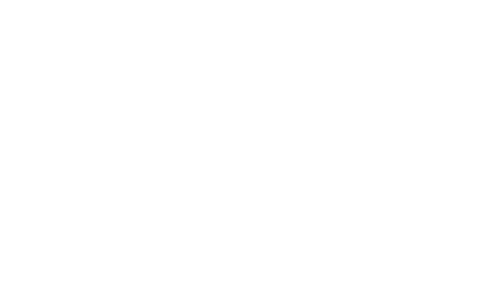 Bushdoof Lighting