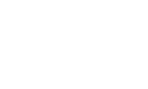 Kiwi Treats