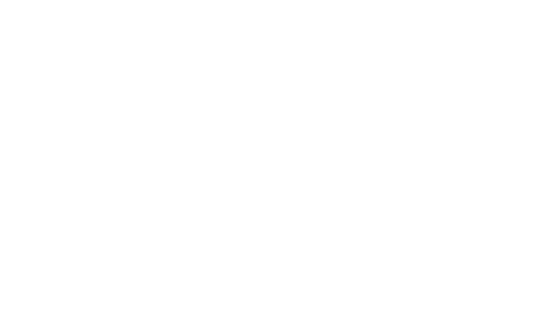 The Watch Factory